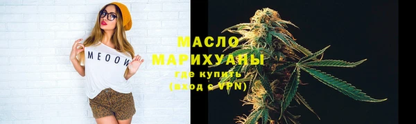 Альфа ПВП Горняк