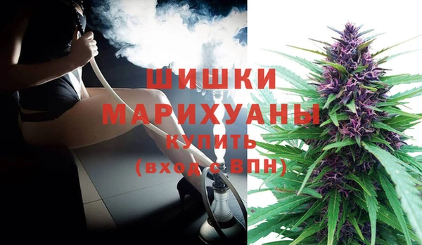 дурь Рославль