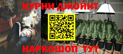 a pvp Гусь-Хрустальный