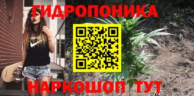 a pvp Гусь-Хрустальный