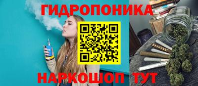 a pvp Гусь-Хрустальный