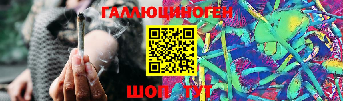 Псилоцибиновые грибы Psilocybe Дмитров