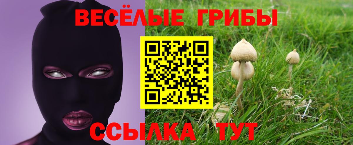Дмитров  Галлюциногенные грибы Cubensis  Вход с VPN 