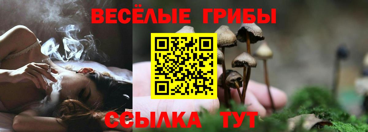 Галлюциногенные грибы GOLDEN TEACHER  Псилоцибиновые грибы GOLDEN TEACHER  Дмитров 